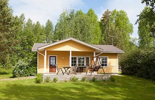 Keltavuokko - Foto 1