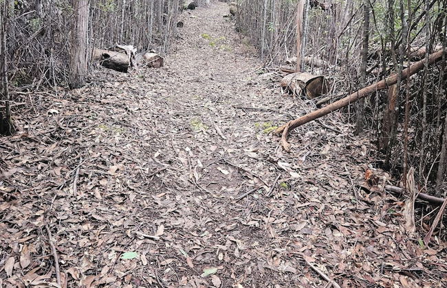 Penguin Retreat - Photo 20