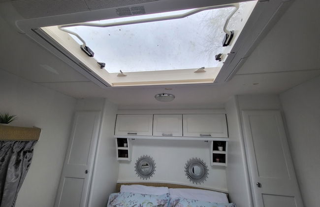 Glamping With Llamas - Foto 31