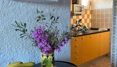 Casa Estrelita, Quinta da Felicidade, Praia dos Salgados - Foto 4