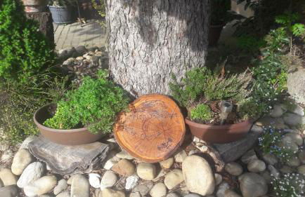 Ferienhof Oberle - Foto 32