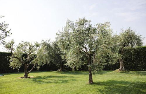 LA CORTESE by La Rondinella Apartments - Foto 7