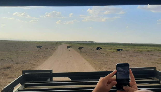 Safari privado de 3 días por el Parque Nacional de Amboseli - Foto 2, Haciendo fotos durante el safari