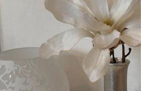 Ferienwohnungen Weise im Lausitzer-Seenland - Photo 49