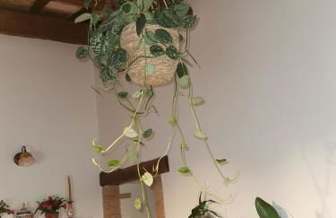 Athena Casa Vacanze - Foto 33