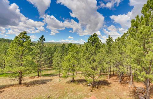 Hermosa Home with Black Hills View, Gas Grill and Deck - Foto 24