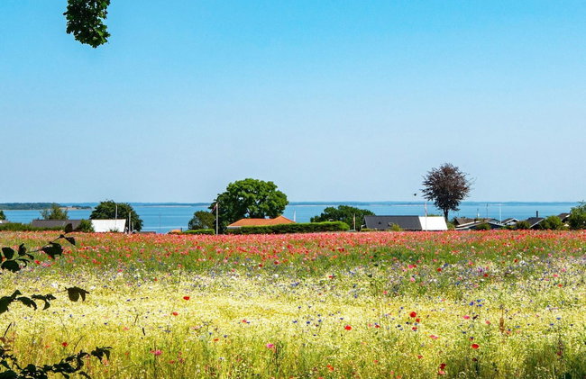 5 Star Holiday Home in Haderslev - Foto 37