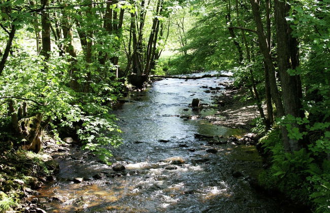 Cozy Escape in Rendeux - Photo 35