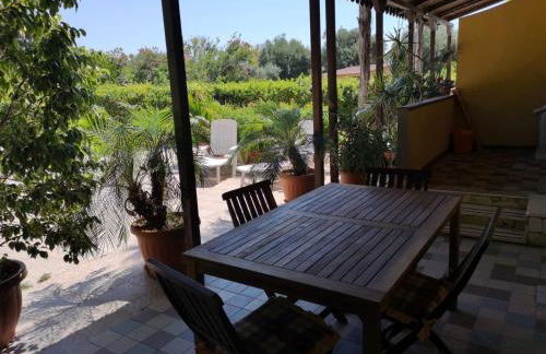 xenia garden 2 - Foto 13