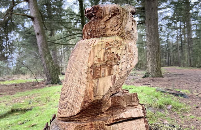 Hideaway: Sauna, Tennis & Trampoline - Foto 41