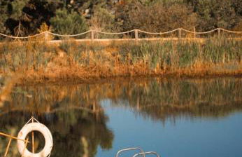 Monte Sardinha - Foto 30