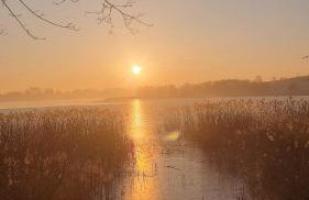 Siedlisko na łące - Foto 42