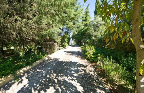 Quinta Da Cabrita - Foto 26