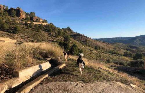 Casa Rural con encanto Señorio Manchego ALBACETE - Foto 65