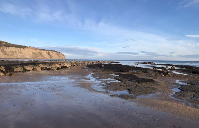 Smugglers Rock Cottages - Foto 28