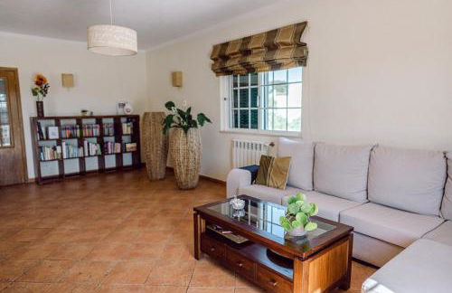 Bee Home Alojamento Local - Foto 10