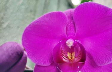 Duplex em Guarapari com piscina privativa! - Foto 26