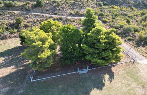 The Beach House - Foto 31