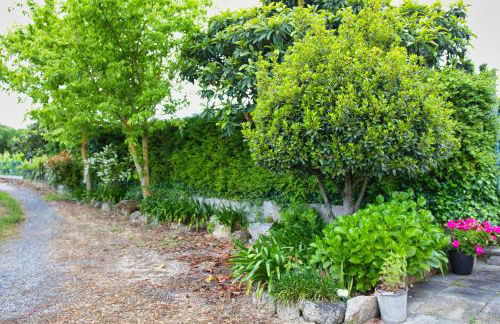 Olive by Nature Yards - Photo 41