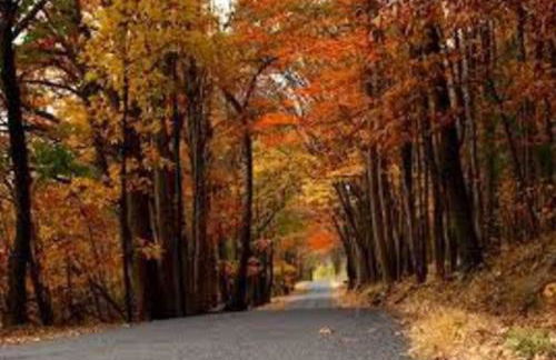 Small Town Hideaway - Photo 24