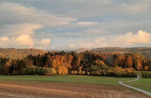 Hochsalerblick - Foto 1