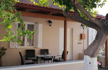 Lemon Tree House - Photo 31