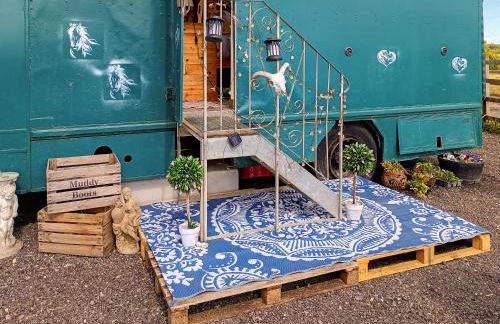 The Box - Oasis Farm - Foto 2