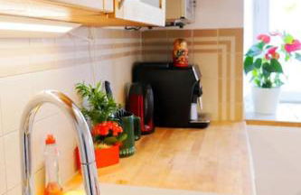 Wohnung mitten im Weinparadies - Foto 18