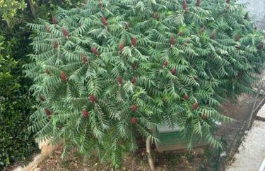 Deluxe apartman Mimi Viskovo with a free parking space - Photo 2