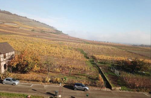 Au cœur du vignoble Alsacien - Foto 17