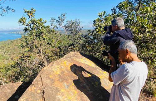 #casinhadasbananeiras - Foto 58