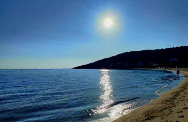 Tom's House - Photo 4