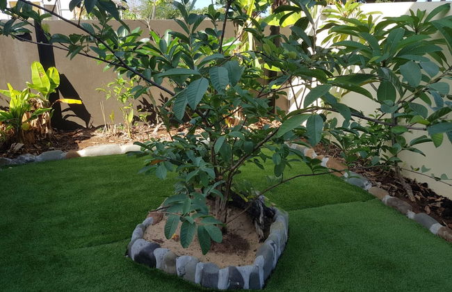 Hibiscus Residences Fiji - Foto 29