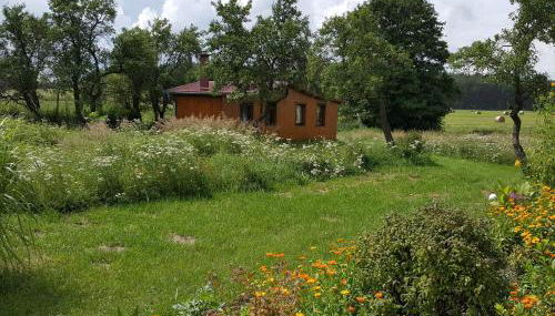Ferienhaus Uckermark pur - Photo 4, Garden