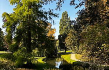 Fachwerkwohnung am Allerufer und Jakobsweg - Foto 31