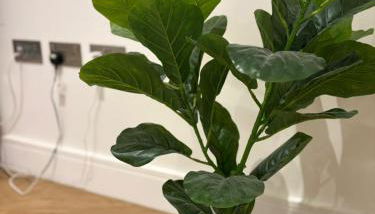 Timber Yard - Photo 2