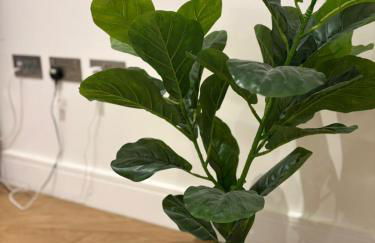 Timber Yard - Foto 2