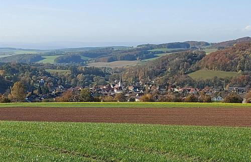 Ferienwohnungen Lahmenhof - Foto 30