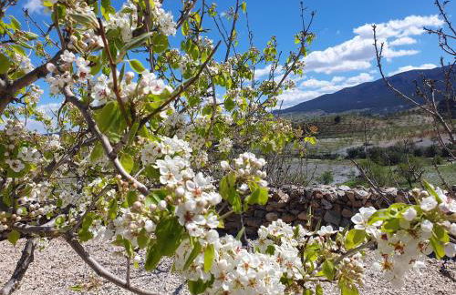Vakantiehuis Casa de Musica - Foto 51