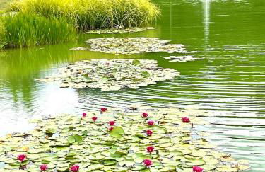 Cocon 1 Zetz - Foto 24