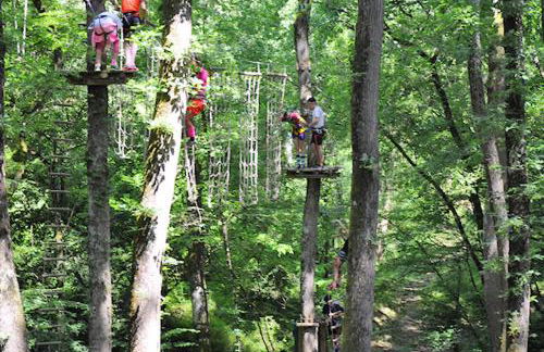 le moulin blanc - Photo 30