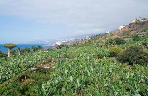 Casa Catuja - Foto 7