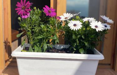 Ático Lanjarón - Foto 15