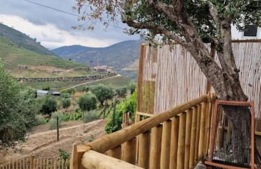 maison du olival - Foto 65