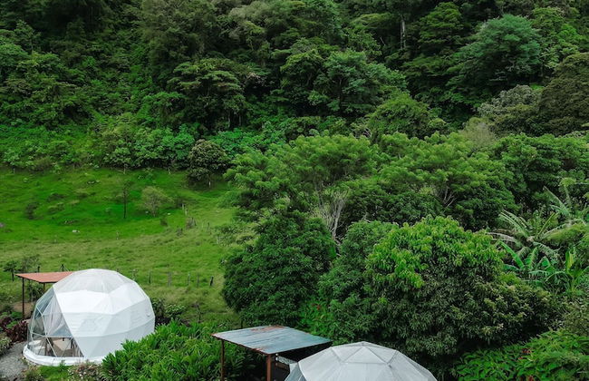 Glampling Nubes de Monteverde - Foto 59