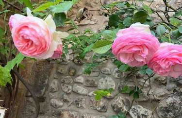 casatorre medioevale - Foto 35