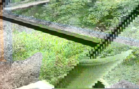 Luxon Bungalow - Foto 6