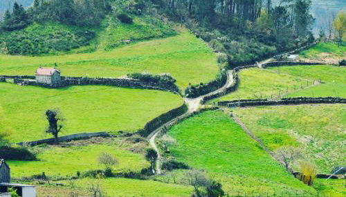 Casa do avô Serafim - Foto 4