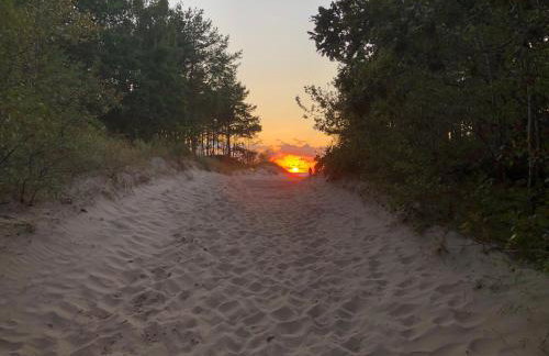 Morski Las - Foto 31