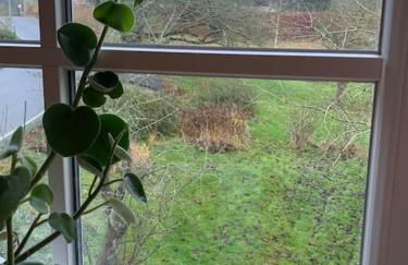 Landhaus „Blattgold“ - Foto 17